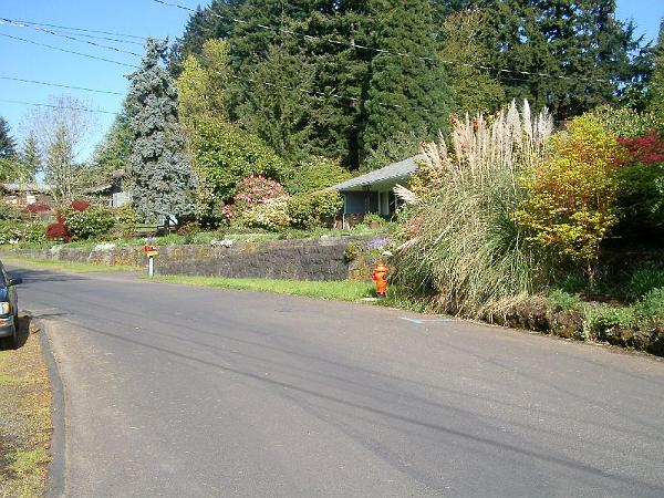 House 4.03 00000.JPG